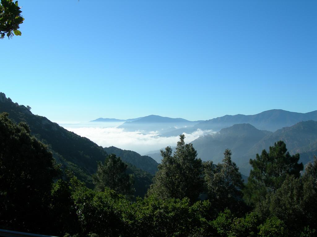 הוילה ארבוס Agriturismo Rocca Su Moru מראה חיצוני תמונה