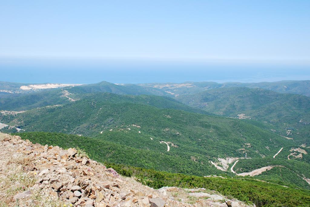 הוילה ארבוס Agriturismo Rocca Su Moru מראה חיצוני תמונה