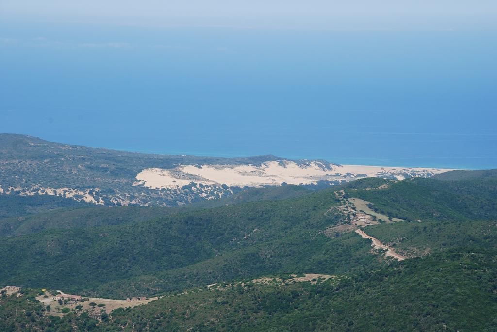 הוילה ארבוס Agriturismo Rocca Su Moru מראה חיצוני תמונה