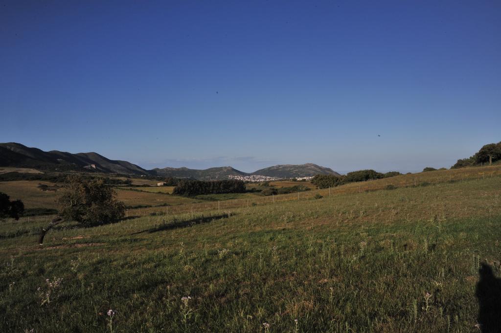 הוילה ארבוס Agriturismo Rocca Su Moru מראה חיצוני תמונה