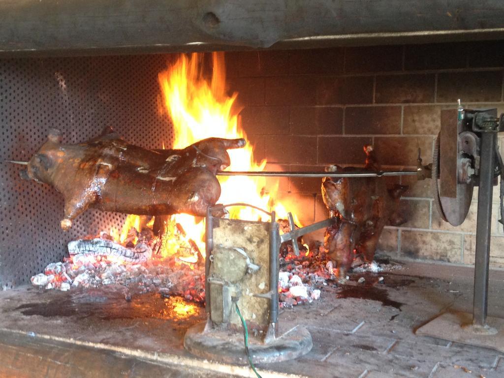 הוילה ארבוס Agriturismo Rocca Su Moru מראה חיצוני תמונה